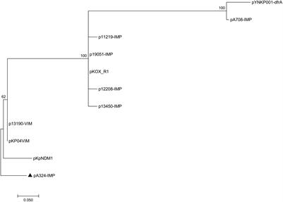 Sequencing and Genomic Diversity Analysis of IncHI5 Plasmids